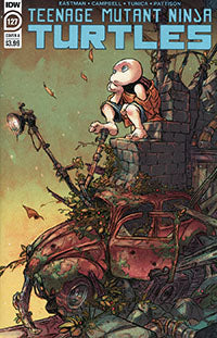 Teenage Mutant Ninja Turtles (2011 IDW) #127A