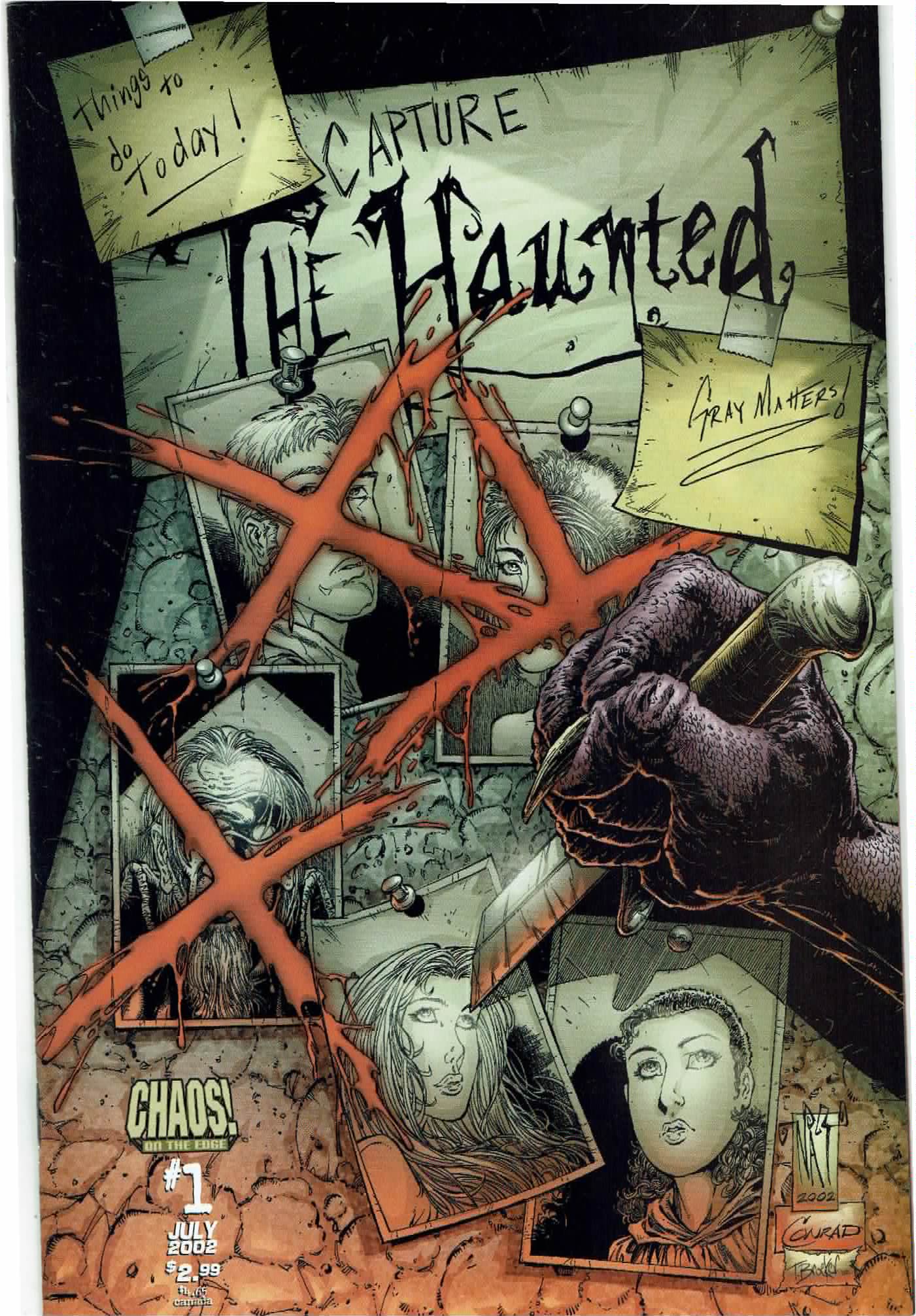Haunted Gray Matters (2002) #1