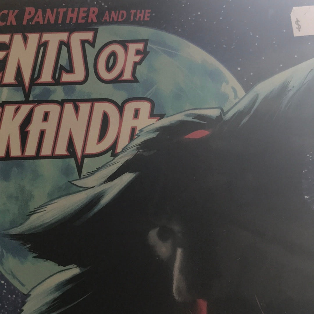 Black Panther and the Agents of Wakanda (2019 Marvel) #4A