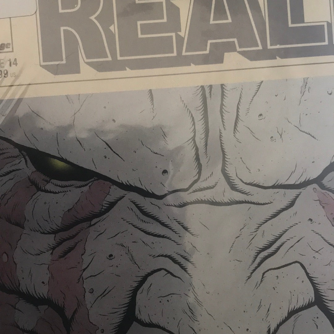 Realm (2017 Image) #14B