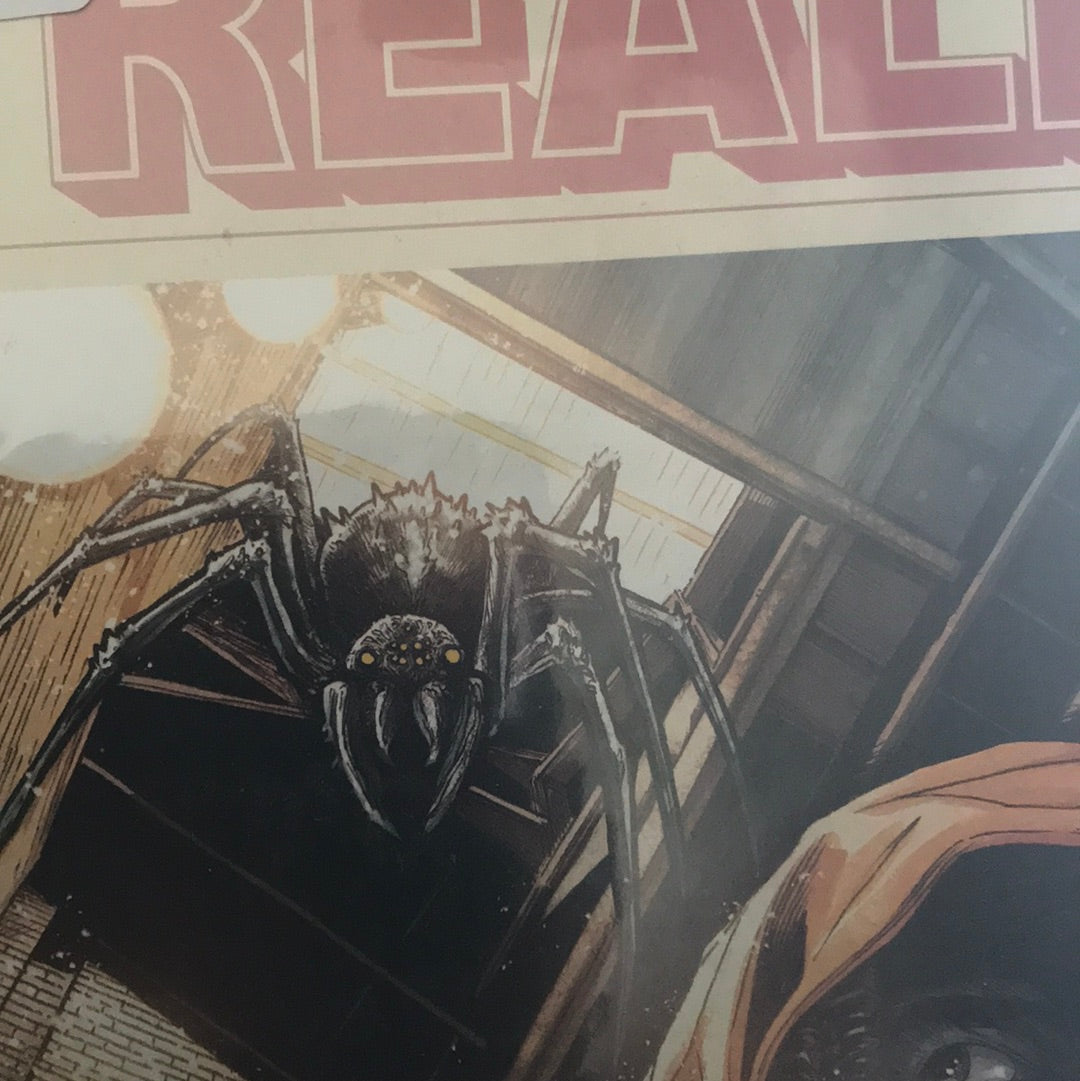 Realm (2017 Image) #13A