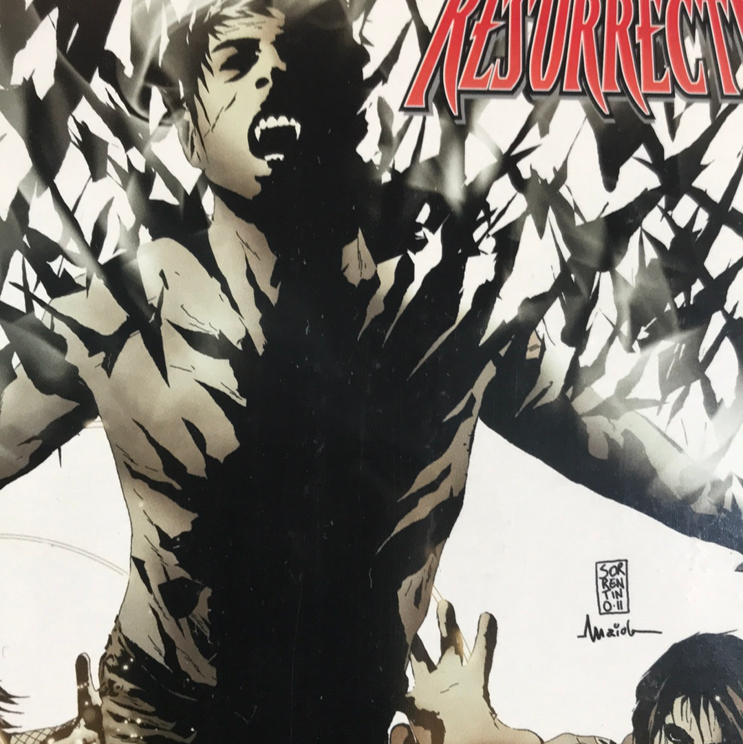 I, Vampire (2011) #8