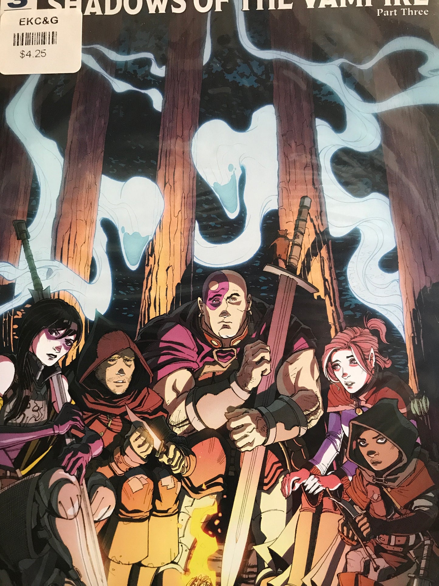 Dungeons and Dragons Shadows of the Vampire (2016 IDW) #3