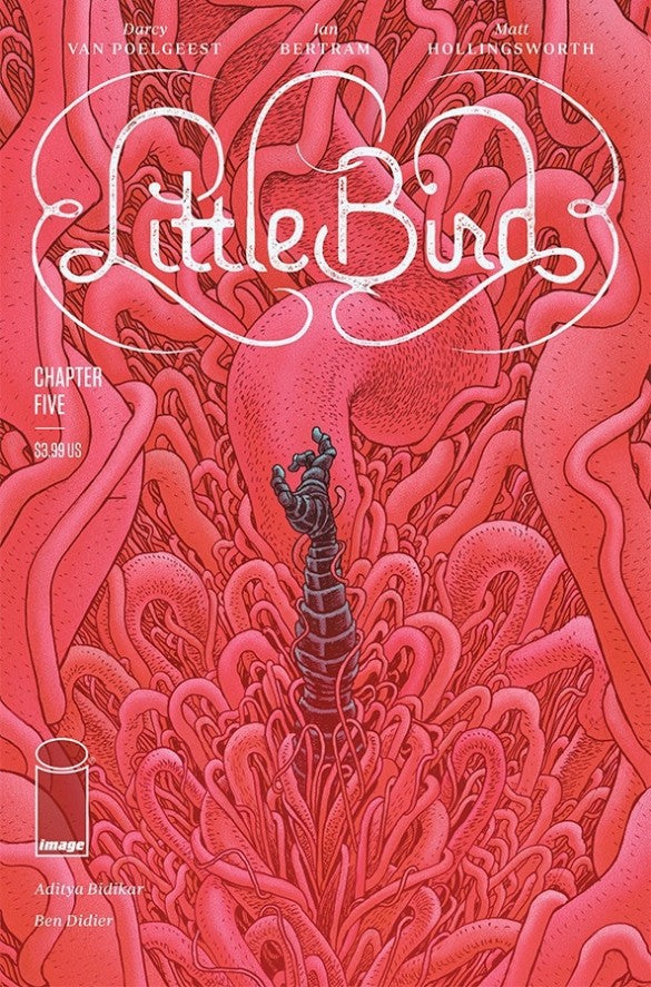 Little Bird (2019 Image) #5
