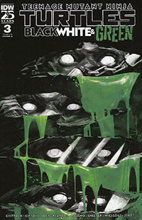 Teenage Mutant Ninja Turtles Black White and Green (2024 IDW) #3A