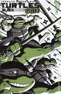 Teenage Mutant Ninja Turtles Black White and Green (2024 IDW) #2A