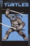 Teenage Mutant Ninja Turtles (2024 IDW) #3E