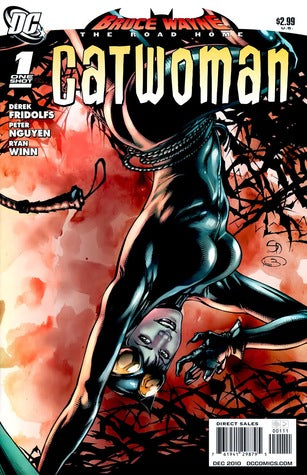 Bruce Wayne - The Road Home: Catwoman #1