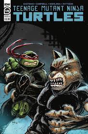 Teenage Mutant Ninja Turtles (2011 IDW) #120B