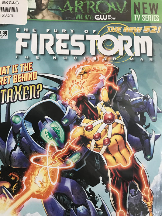 Fury of Firestorm (2011) #13