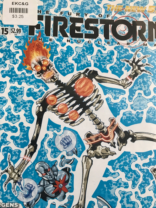 Fury of Firestorm (2011) #15