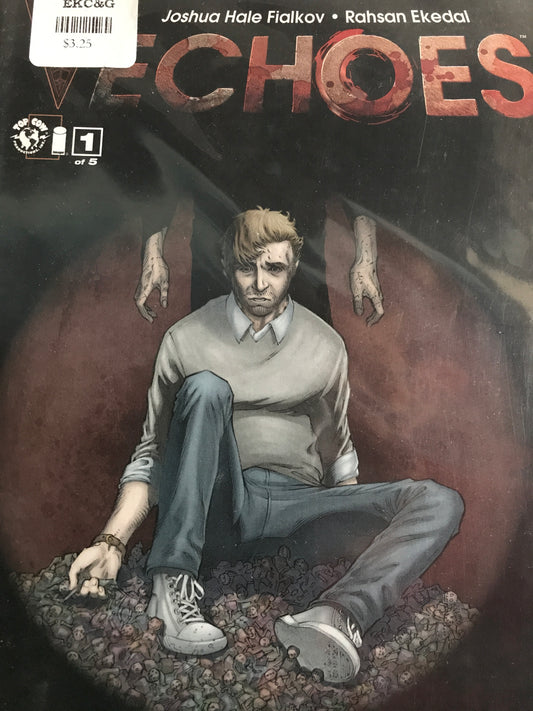 Echoes (2010 Top Cow) #1A