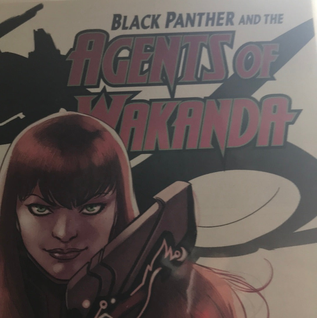Black Panther and the Agents of Wakanda (2019 Marvel) #2B