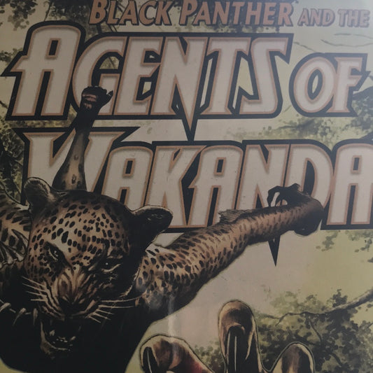 Black Panther and the Agents of Wakanda (2019 Marvel) #5B