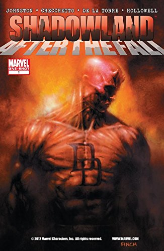 Shadowland After the Fall (2010 Marvel) #1