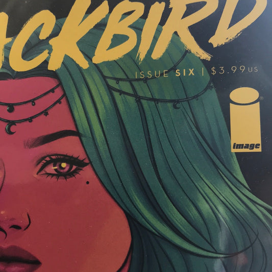Blackbird (2018) #6A