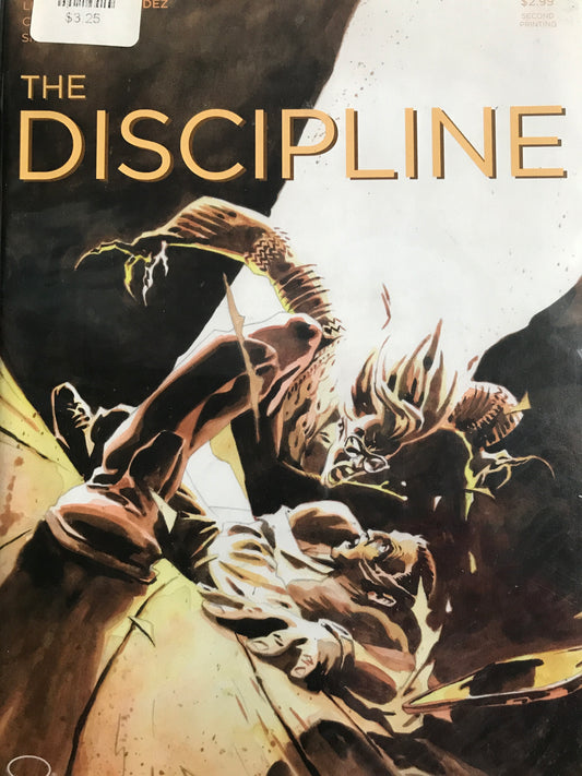 Discipline (2016 Image) #2B