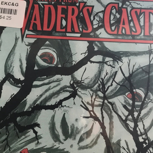 Star Wars Adventures Tales from Vader's Castle (2018 IDW) #4B