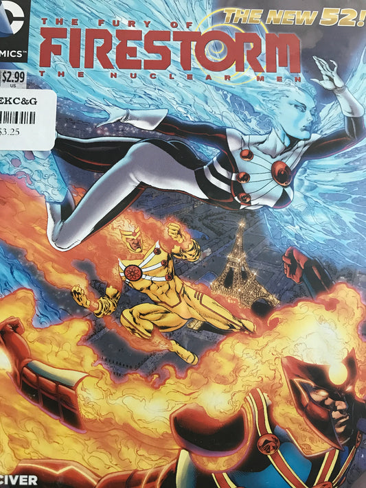 Fury of Firestorm (2011) #8