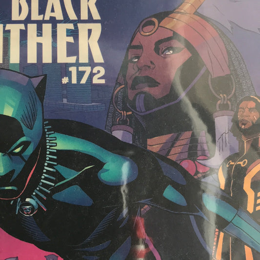 Black Panther (2017 6th Series) #172A