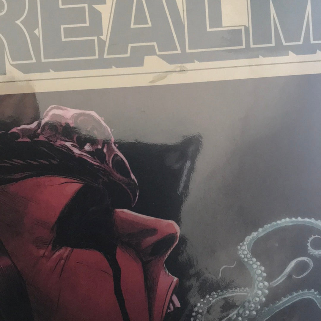 Realm (2017 Image) #8A