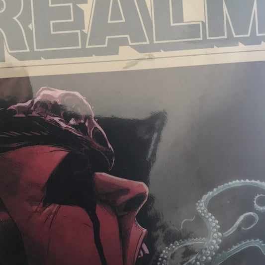 Realm (2017 Image) #8A