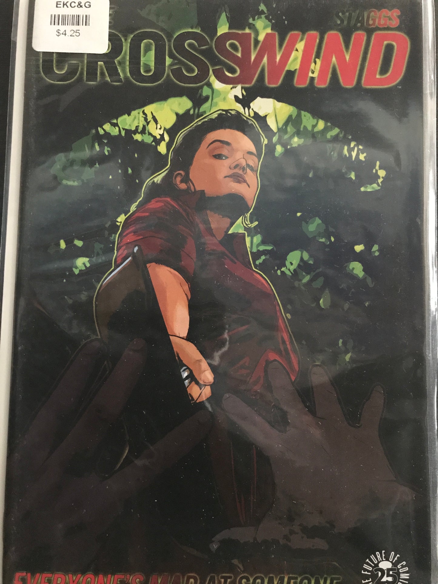 Crosswind (2017 Image) #3A