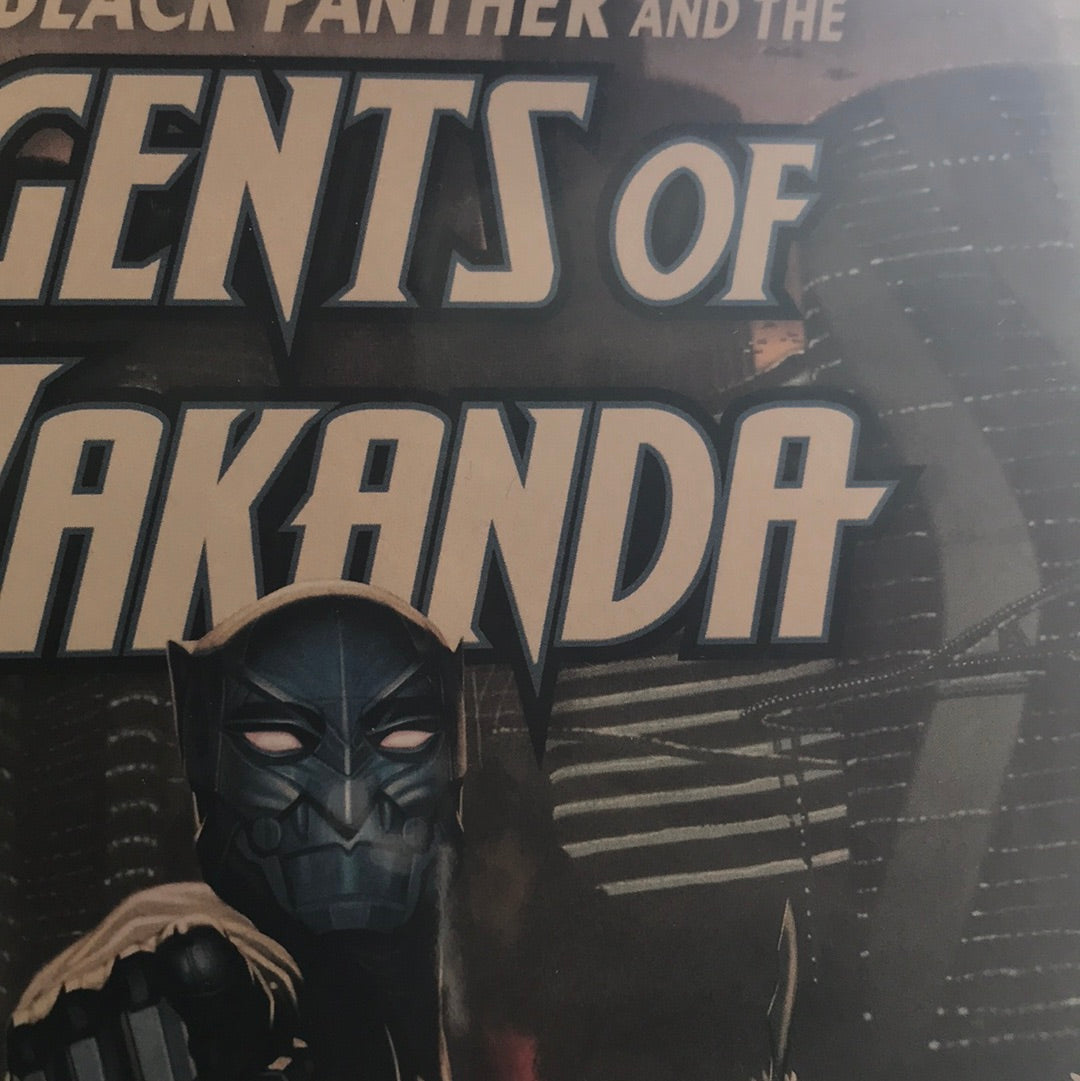 Black Panther and the Agents of Wakanda (2019 Marvel) #3C