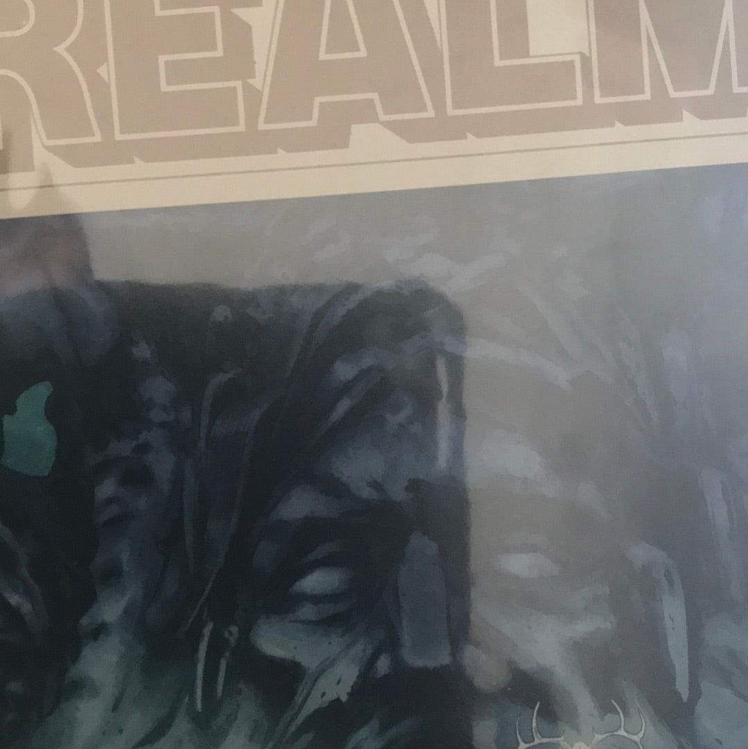 Realm (2017 Image) #11A