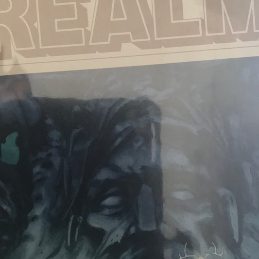 Realm (2017 Image) #11A